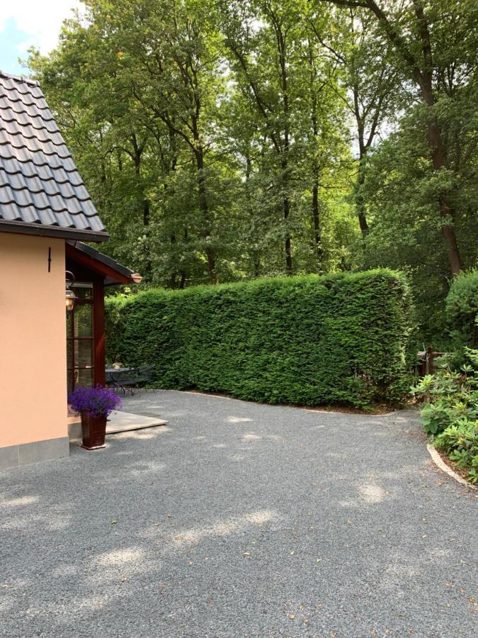 Romantisch Gastenverblijf 'Het Vogelhuisje' Lunteren Esterno foto