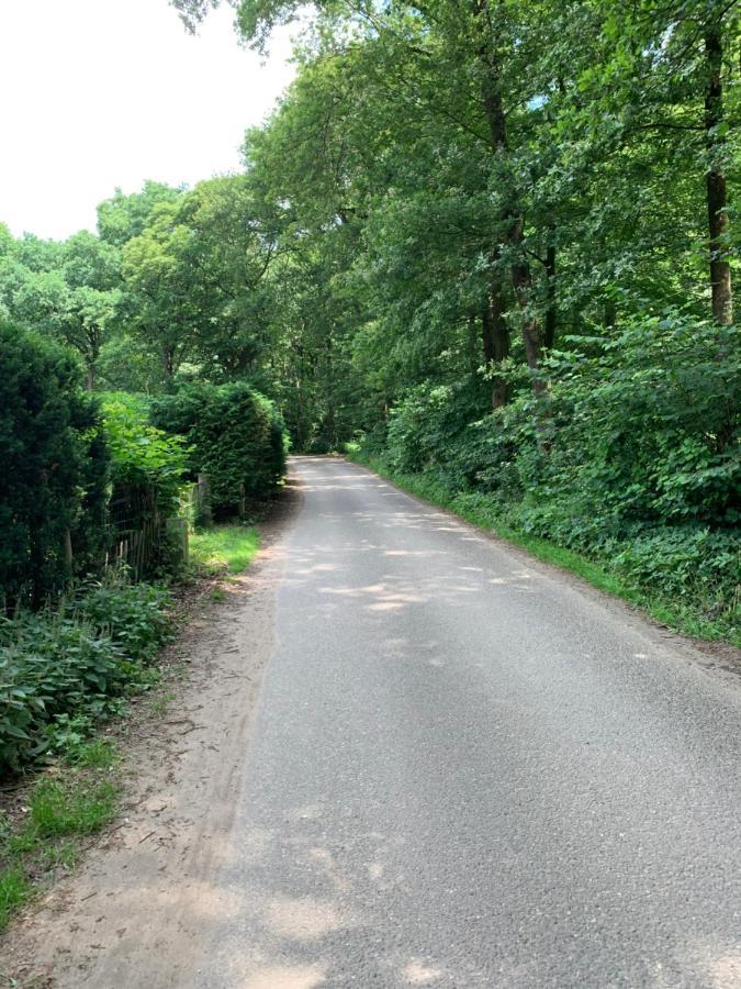 Romantisch Gastenverblijf 'Het Vogelhuisje' Lunteren Esterno foto