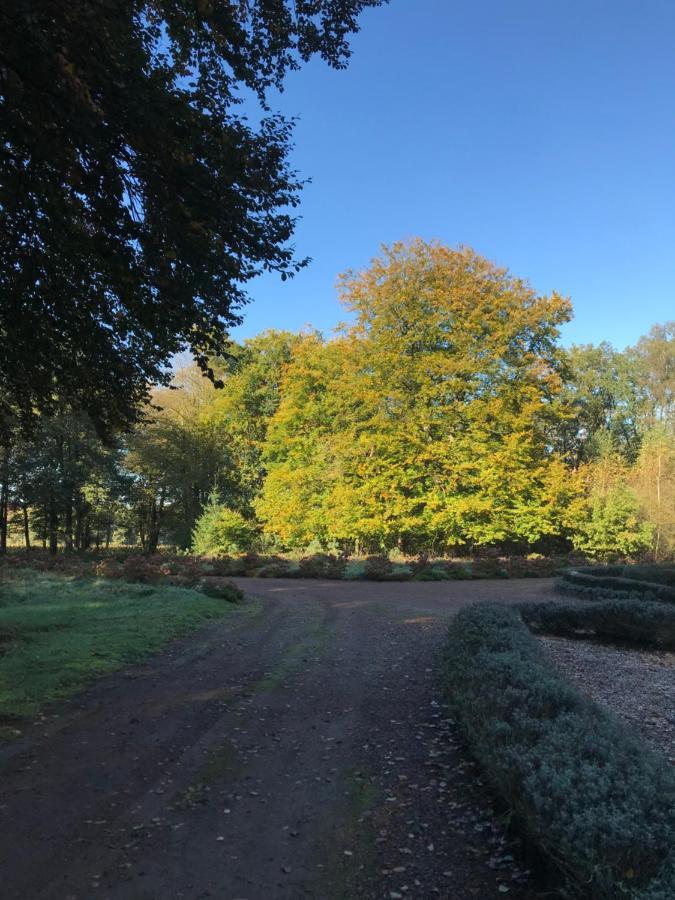 Romantisch Gastenverblijf 'Het Vogelhuisje' Lunteren Esterno foto